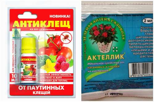 антиклещ и актеллик антиклещ и актеллик